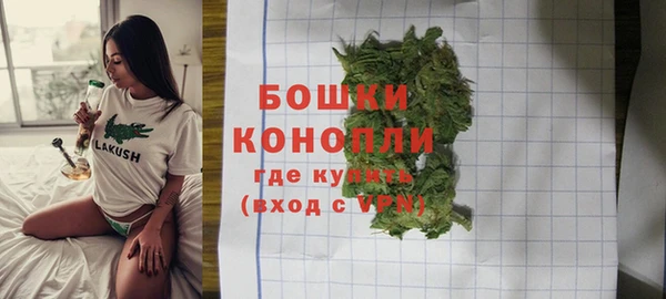 каннабис Аркадак