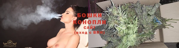 каннабис Аркадак